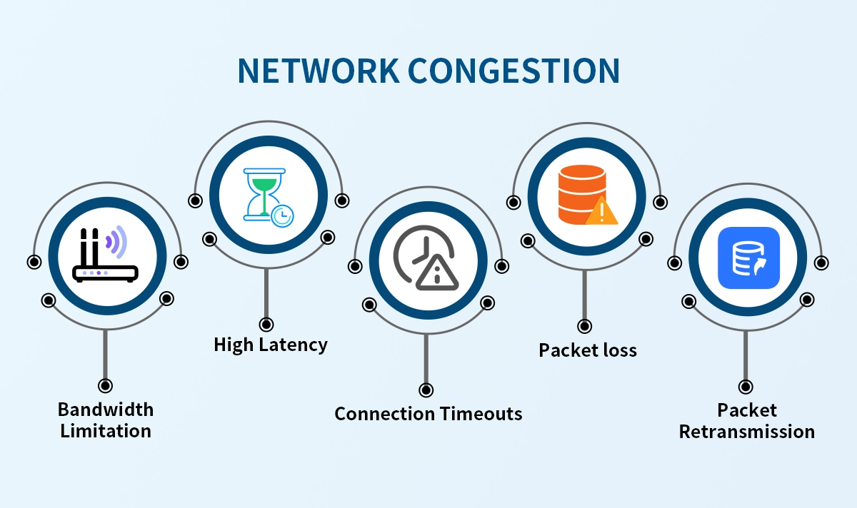 Network Congestion