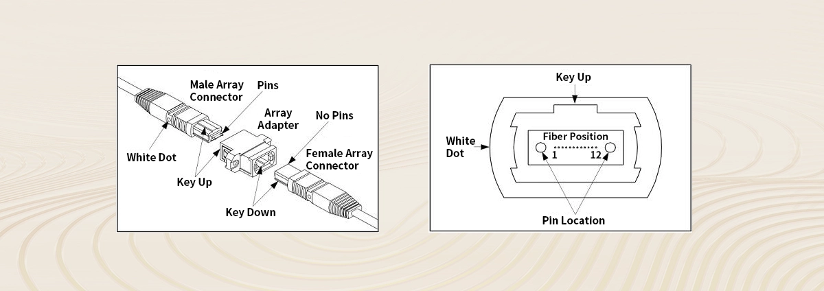 MPO Connectors