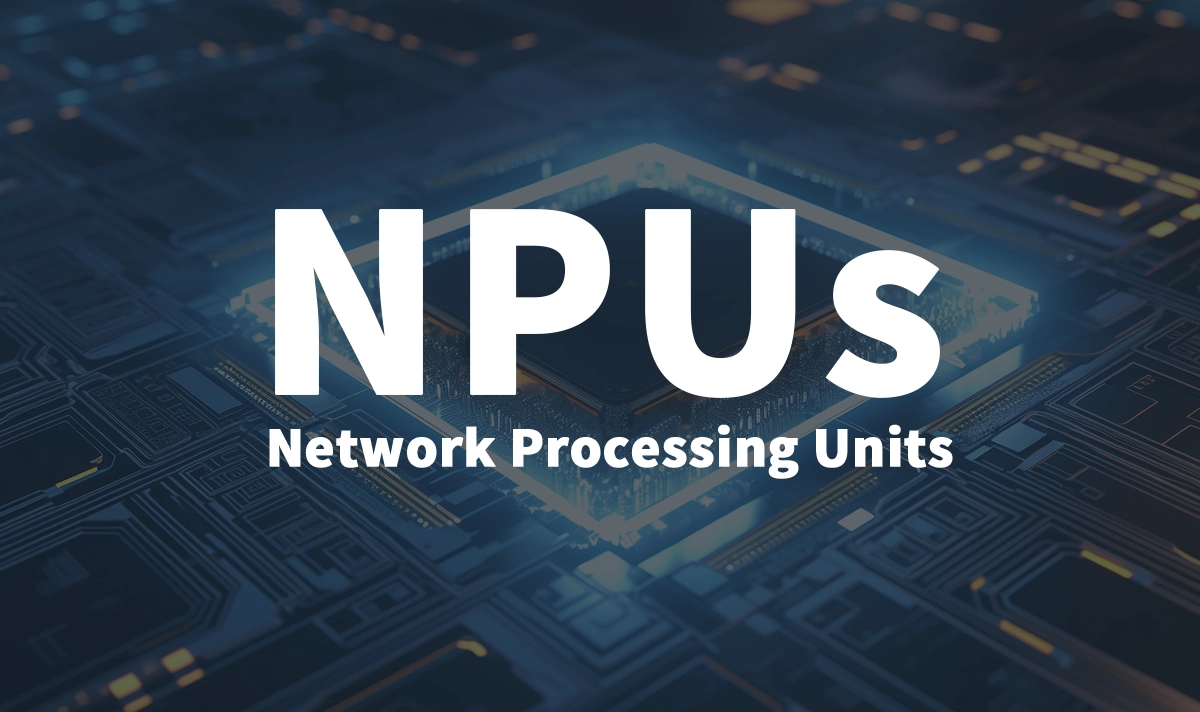 Network Processing Units (NPUs)