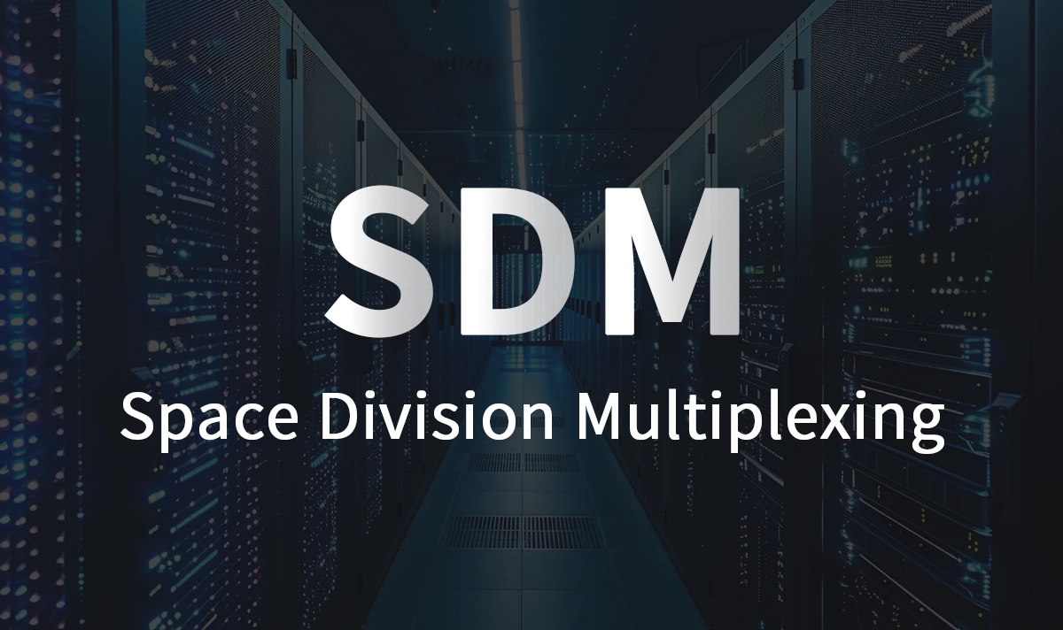 Understanding Space Division Multiplexing for Modern Fiber Networks