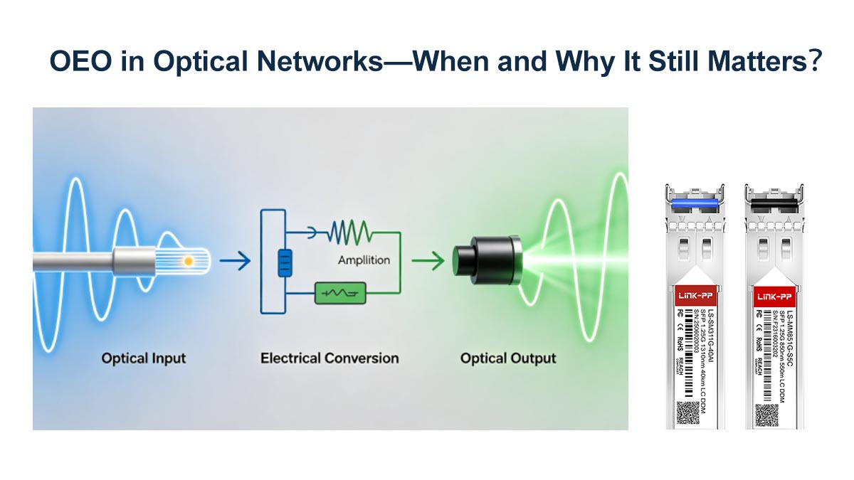 OEO in Optical Networks—When and Why It Still Matters