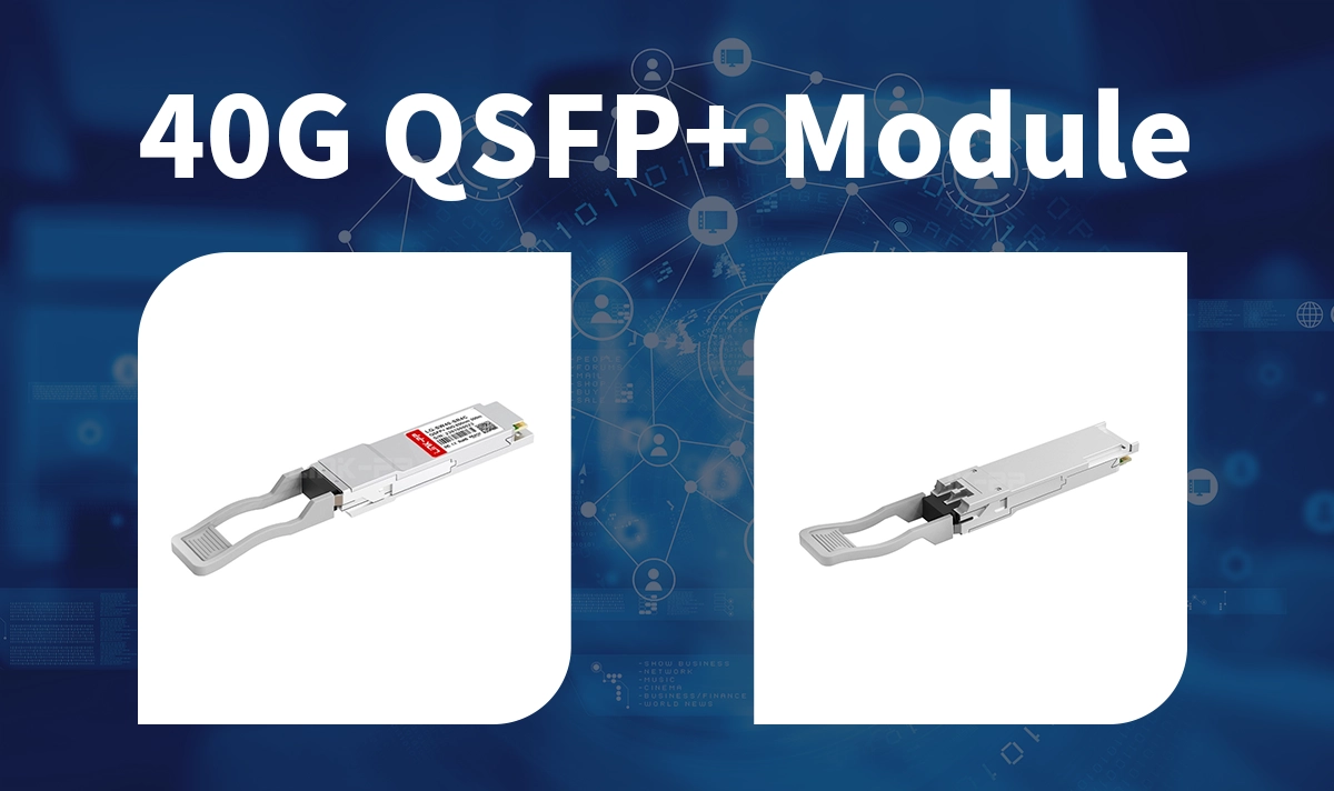 QSFP+ Module