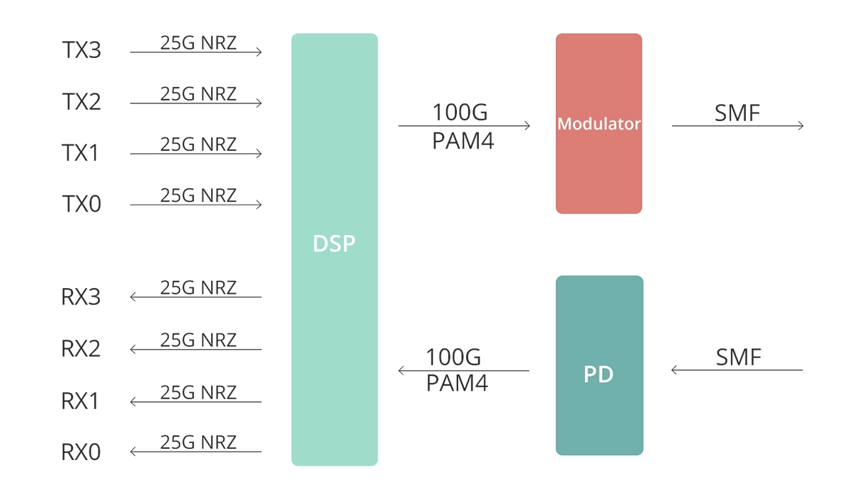 100g single lambda optics
