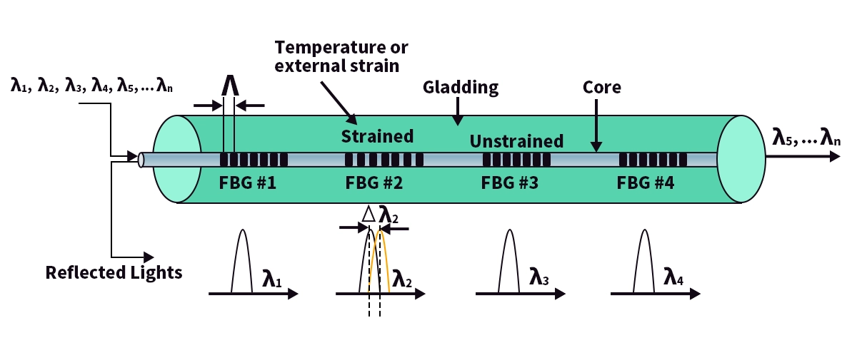 Fiber Bragg Grating (FBG)