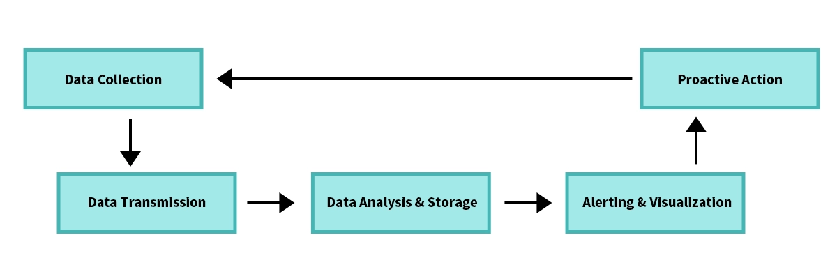 Remote Network Monitoring