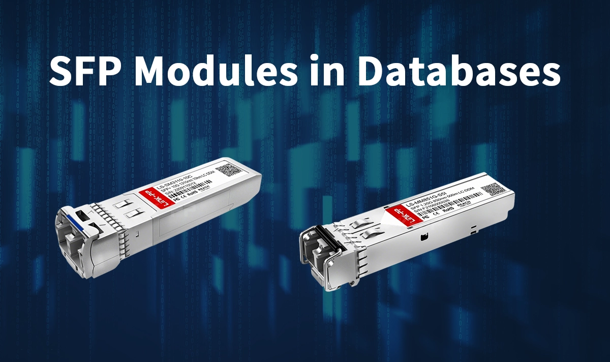 SFP Modules in Databases