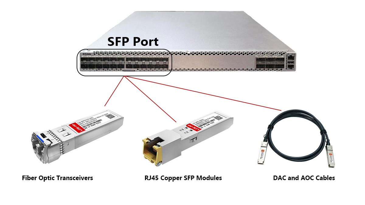 What Can You Plug Into an SFP Port?