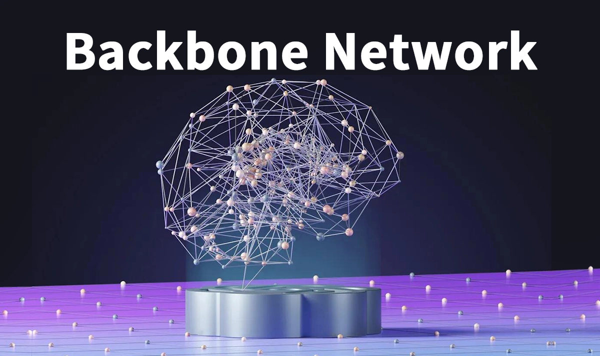 Network Backbone Structure