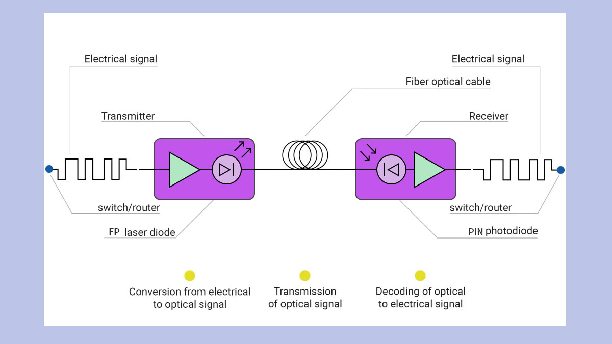 What Is an SFP Module in Networking?