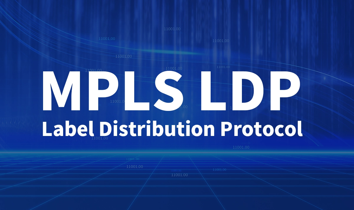 What Is LDP?