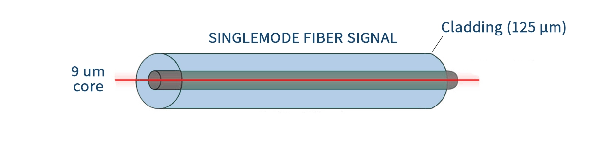 Single Mode Fiber (SMF)