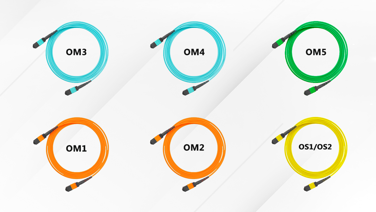 OM1 vs OM2 vs OM3 vs OM4 vs OM5