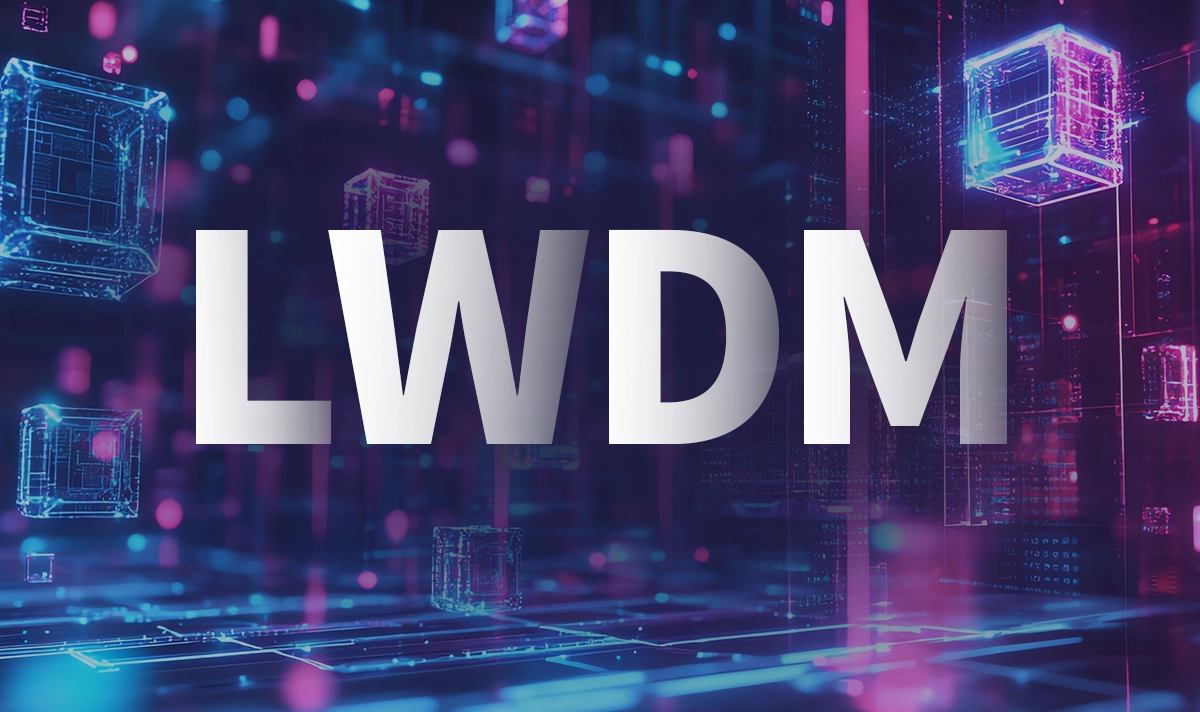 What is LWDM LWDM?