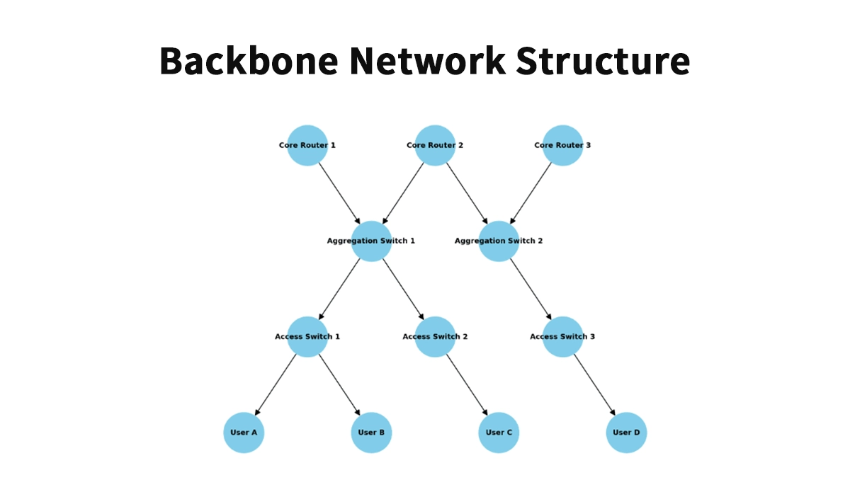 Backbone Network Structure