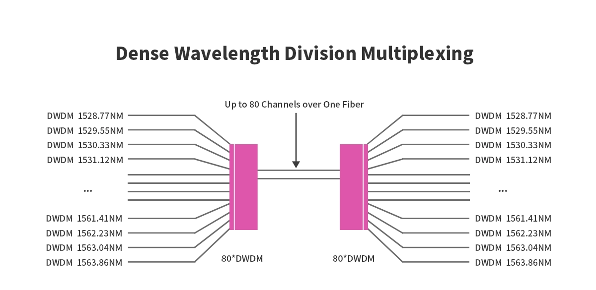 DWDM