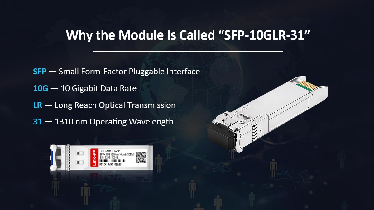 Why the Module Is Called “SFP-10GLR-31”