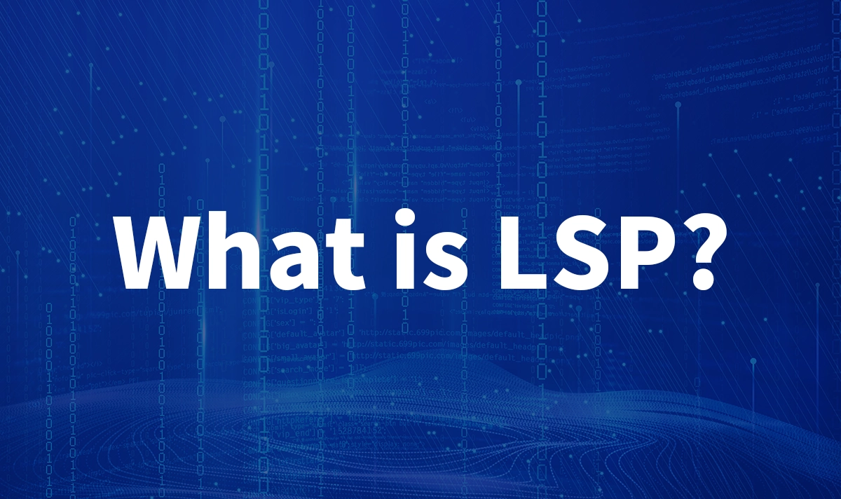 What is LSP?