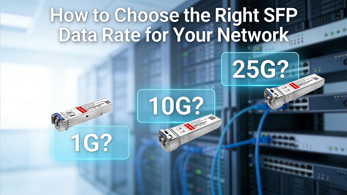 How to Choose the Right SFP Data Rate for Your Network