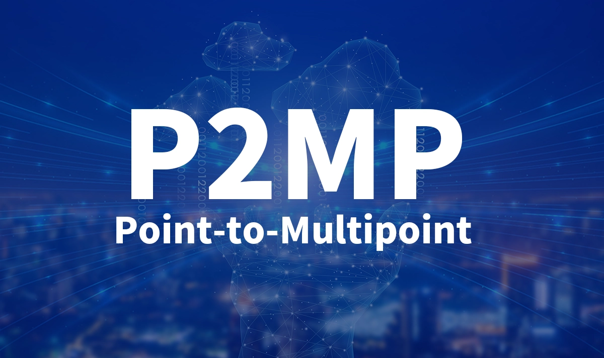 What is P2MP?