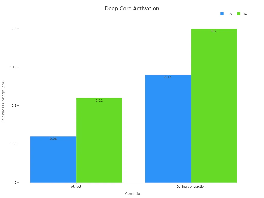Grouped bar chart showing muscle thickness changes at rest and contraction for TrA and IO