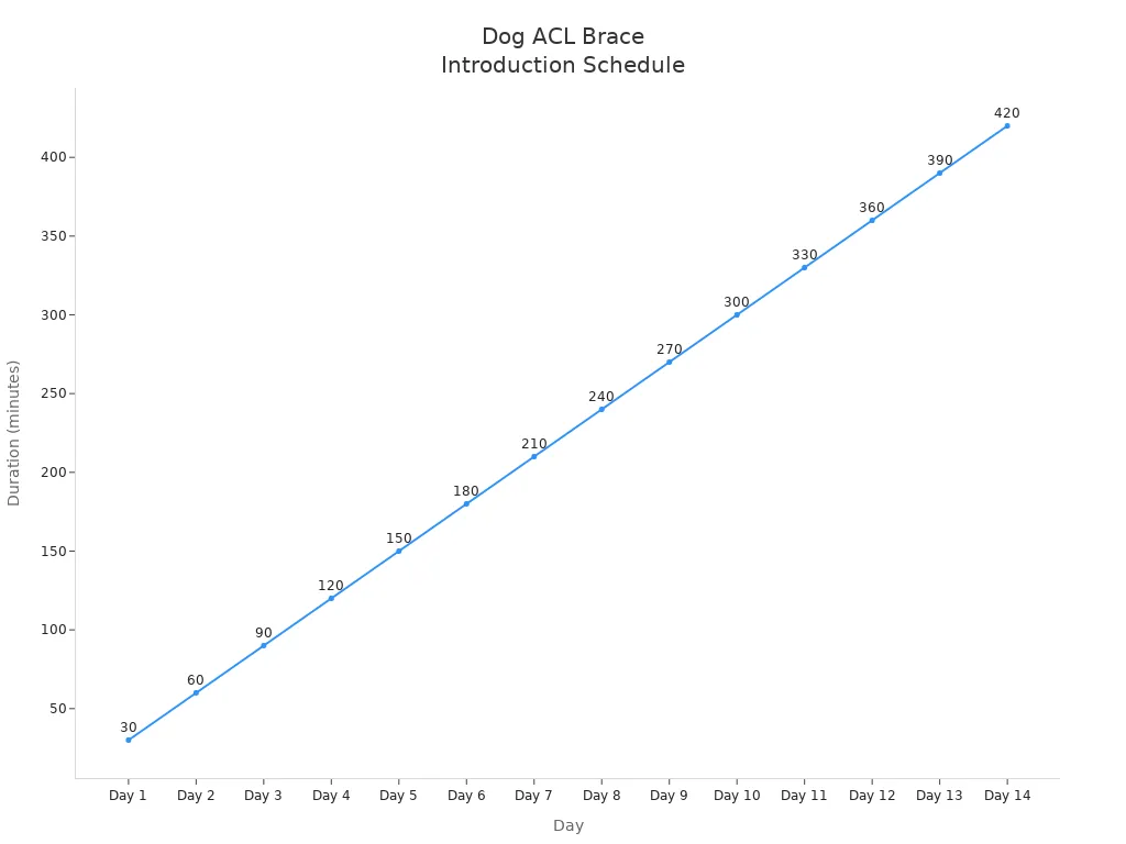 Line chart showing daily increase in recommended ACL brace introduction duration for dogs over 14 days
