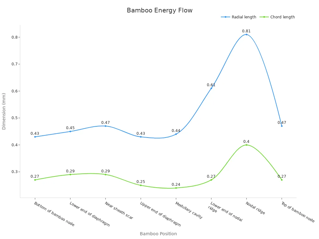 Gráfico de líneas que muestra las dimensiones del AVB a lo largo del nodo de bambú