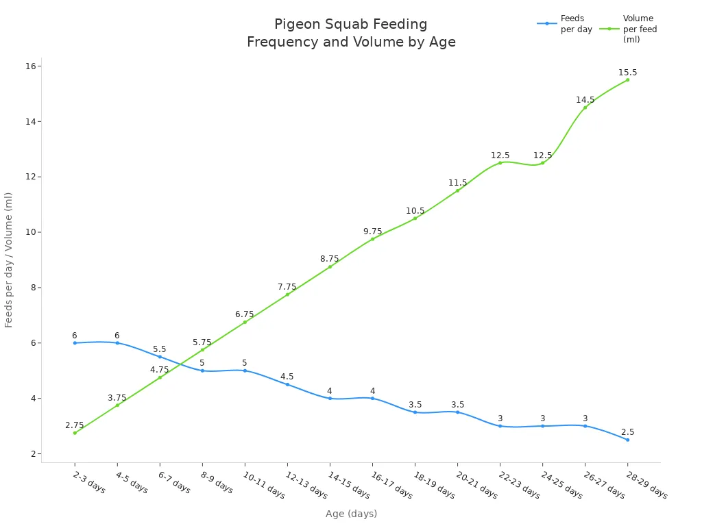 Line chart showing how feeding frequency and volume per feed for pigeon squabs change with age in days