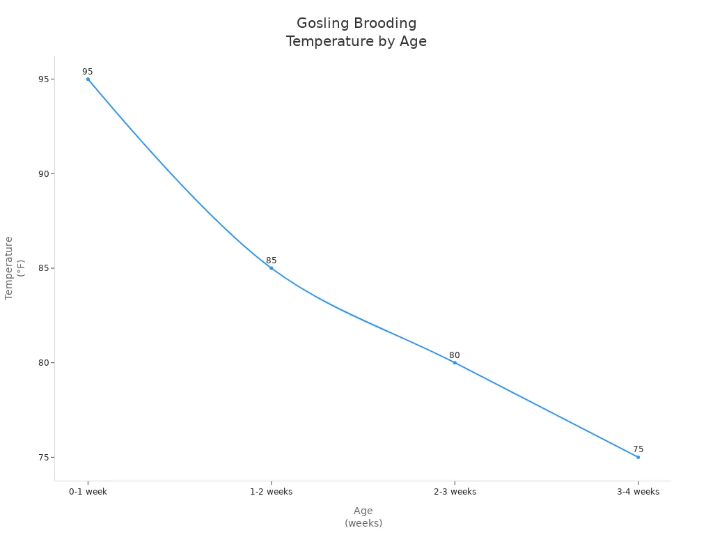 Line chart showing recommended brooding temperatures for goslings by age in weeks