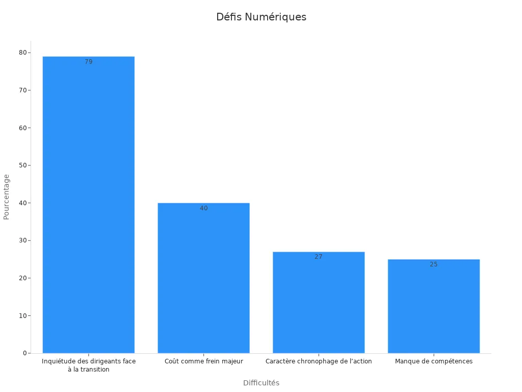 Diagramme en barres des défis numériques pour PME/TPE