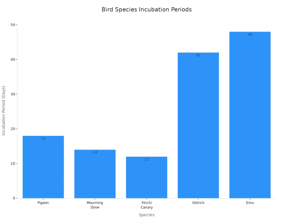 Bar chart comparing incubation periods of pigeon, dove, finch, ostrich, and emu eggs
