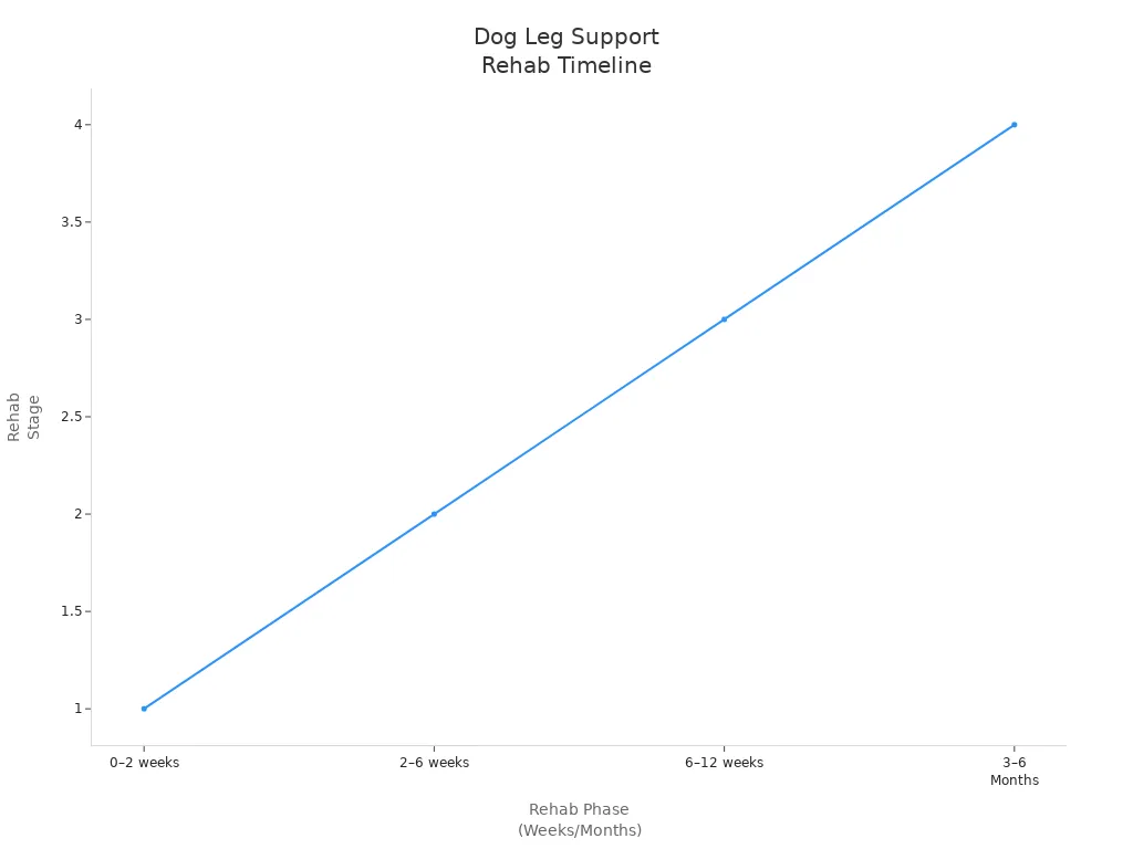 A line chart showing the typical rehabilitation timeline for dogs using leg supports after injury or surgery, with four increasing stages over time.