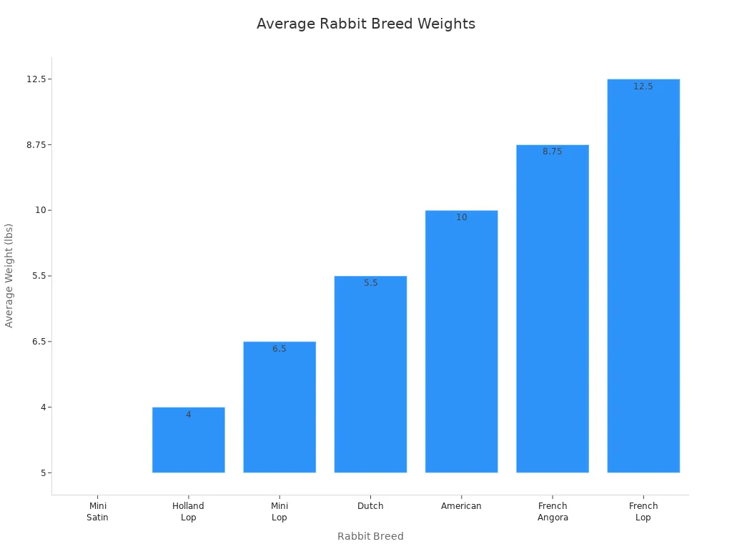 Bar chart comparing average weights of popular rabbit breeds
