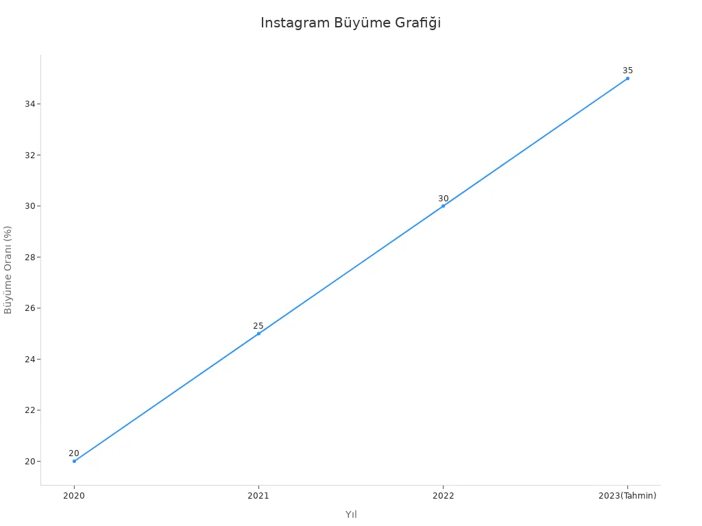 Instagram ajansı etkisiyle yıllara göre büyüme oran grafiği