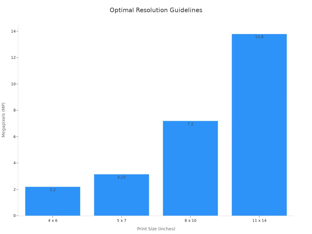 Bar chart showing print sizes vs megapixel requirements