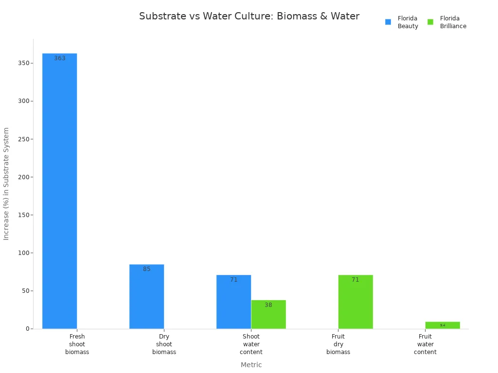 Grouped bar chart comparing percentage increases in biomass and water content for Florida Beauty and Florida Brilliance cultivars in substrate versus water culture systems.