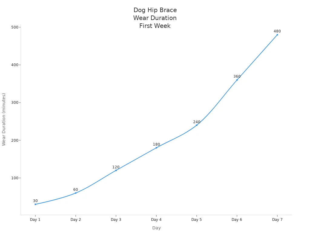 First-week hip brace wear plan increasing only after clean skin and movement checks