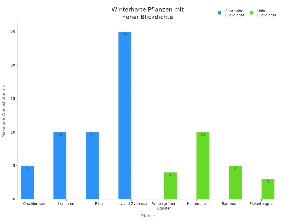 Balkendiagramm zu winterharten Pflanzen mit hoher Blickdichte und deren maximaler Wuchshöhe