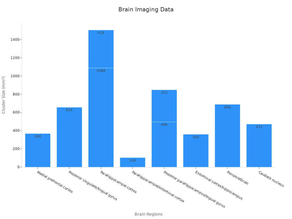 Bar chart comparing cluster sizes across various brain regions indicating brain imaging data