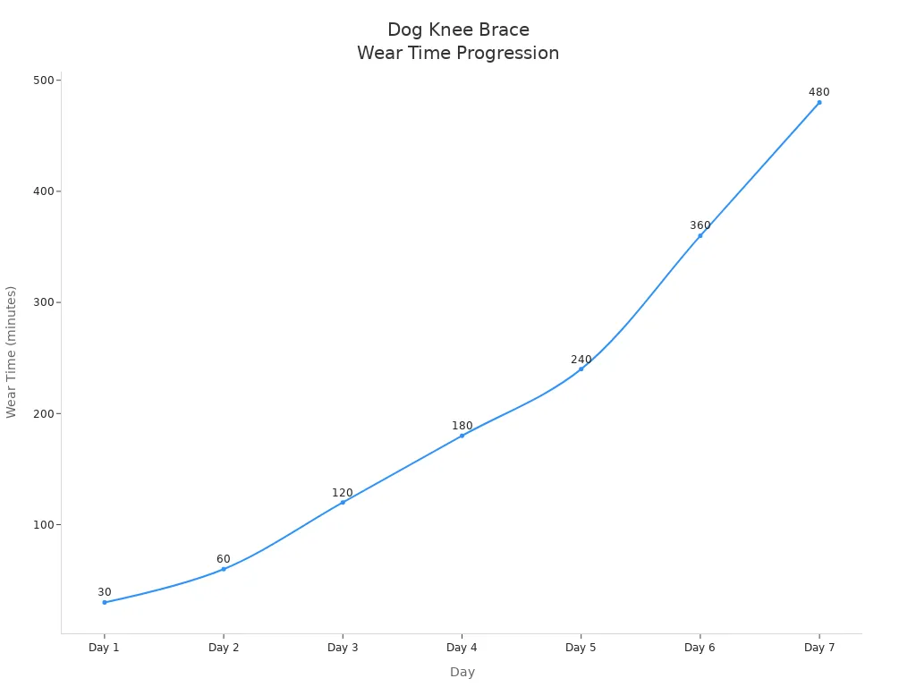 Line chart showing cumulative daily wear time progression across the break-in schedule