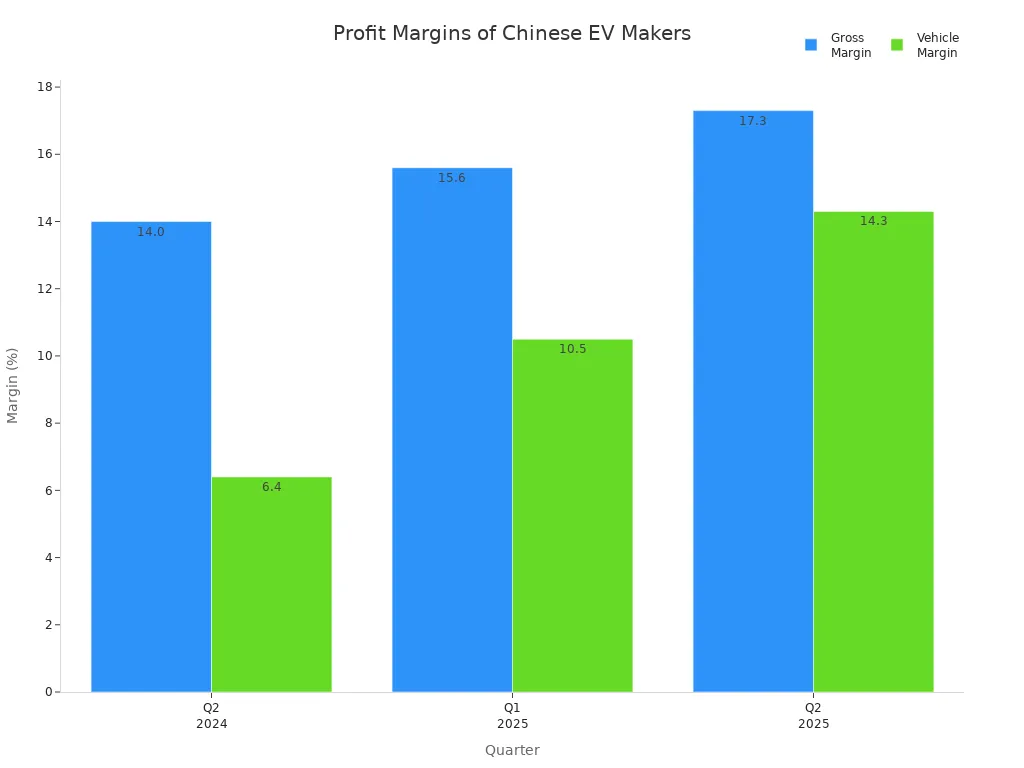 Bar chart showing gross and vehicle margins for Chinese EV manufacturers over three quarters