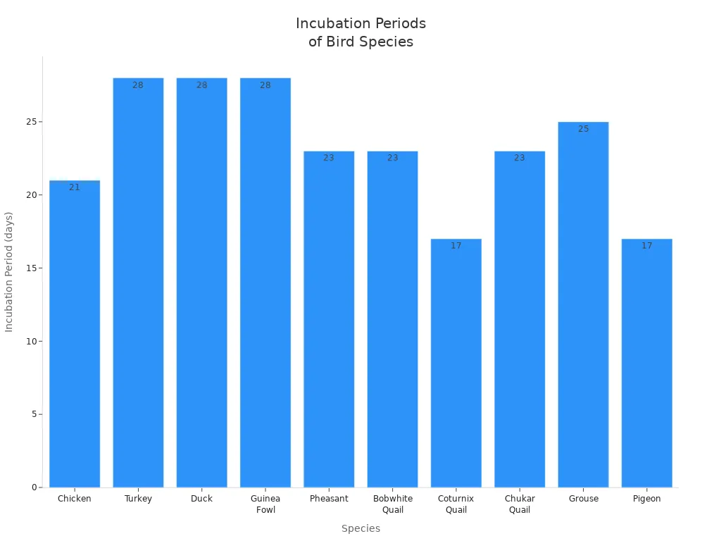 Bar chart comparing incubation periods in days for different bird species