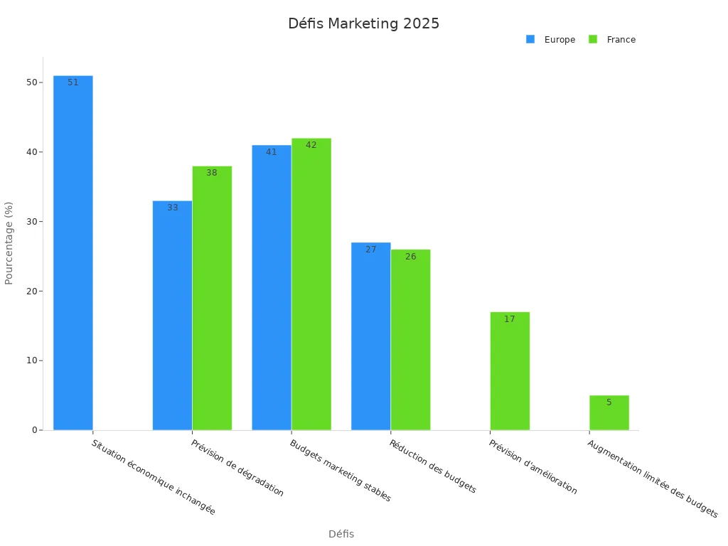Graphique comparatif des défis marketing en Europe et France