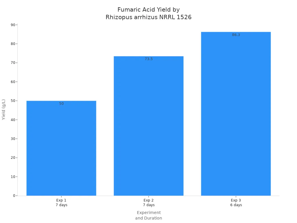 Bar chart showing fumaric acid production yields for Rhizopus arrhizus NRRL 1526 in three experiments