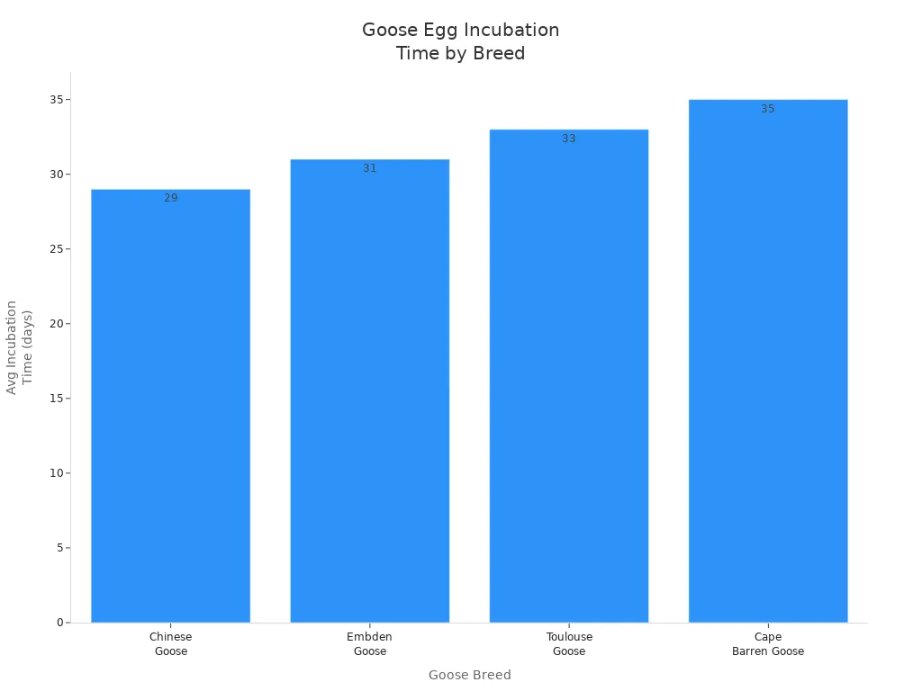 Bar chart comparing average incubation times for different goose breeds