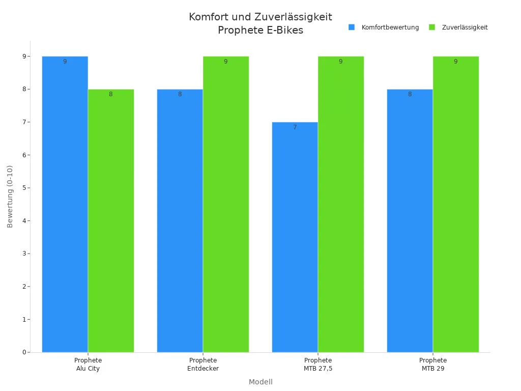 Komfort und Zuverlässigkeit Prophete E-Bikes