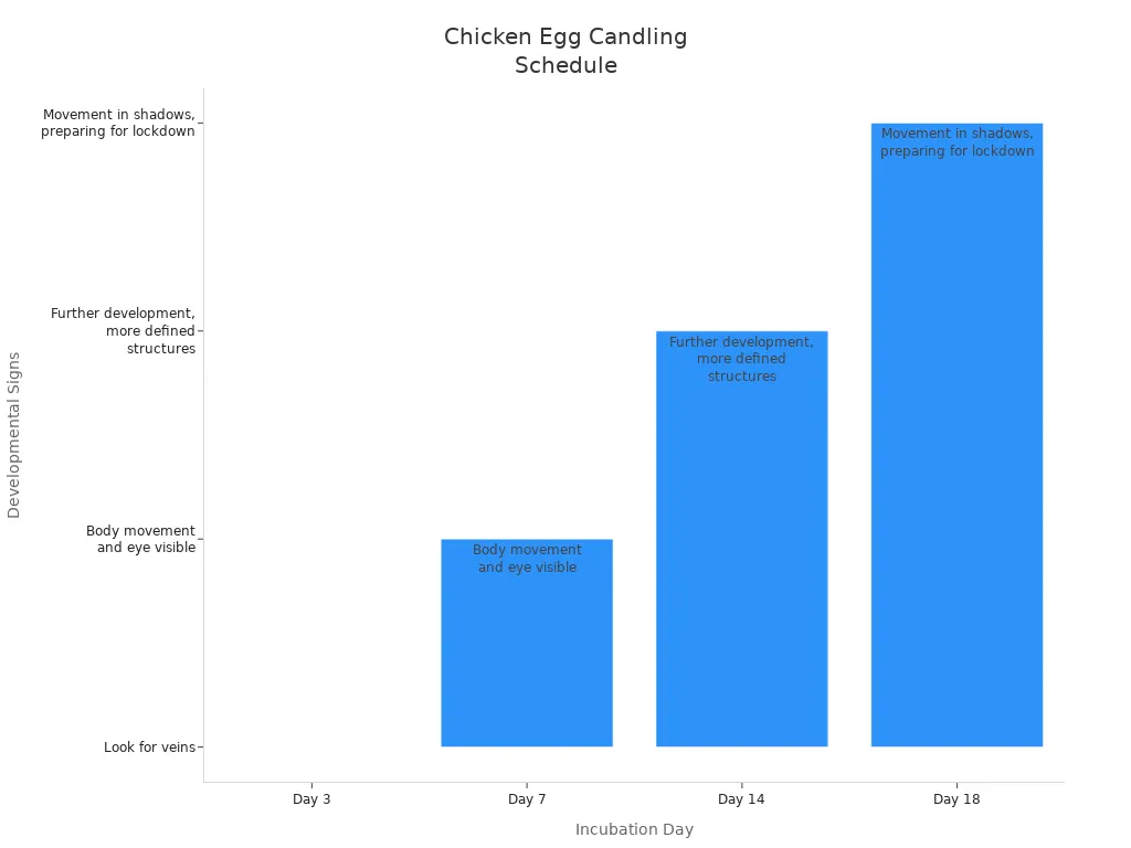 Bar chart showing recommended candling days and developmental signs for chicken eggs
