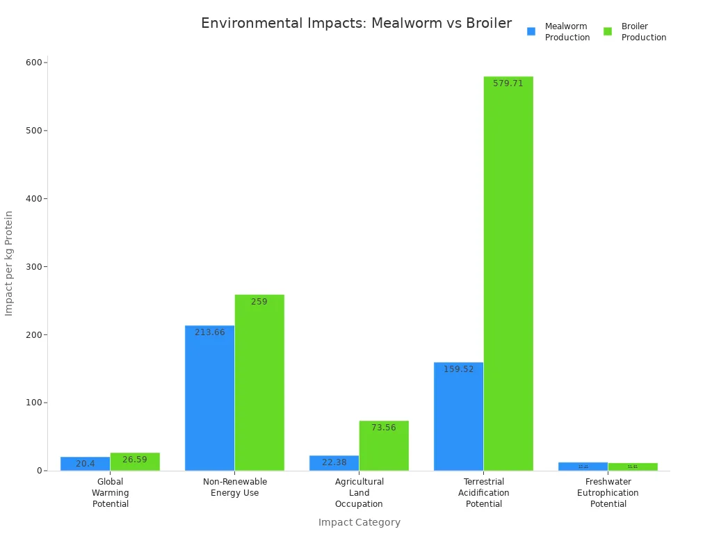 Grouped bar chart comparing environmental impacts of organic mealworm and broiler protein production across five categories