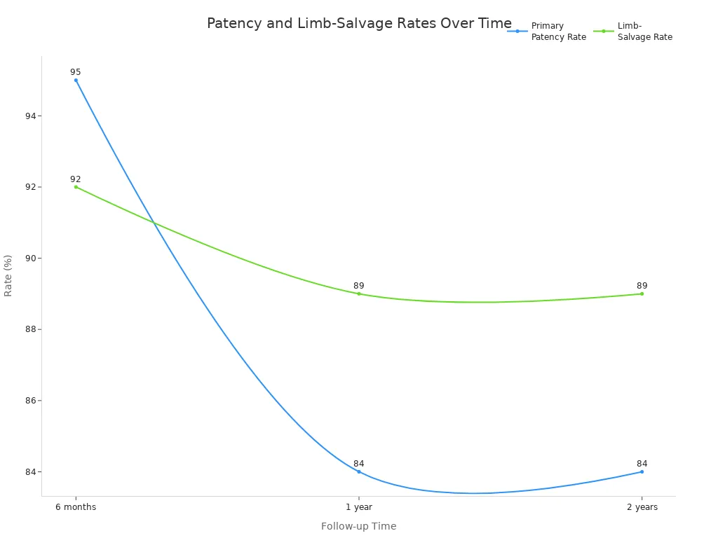 Line chart showing primary patency and limb-salvage rates for Nitinol stents at 6 months, 1 year, and 2 years