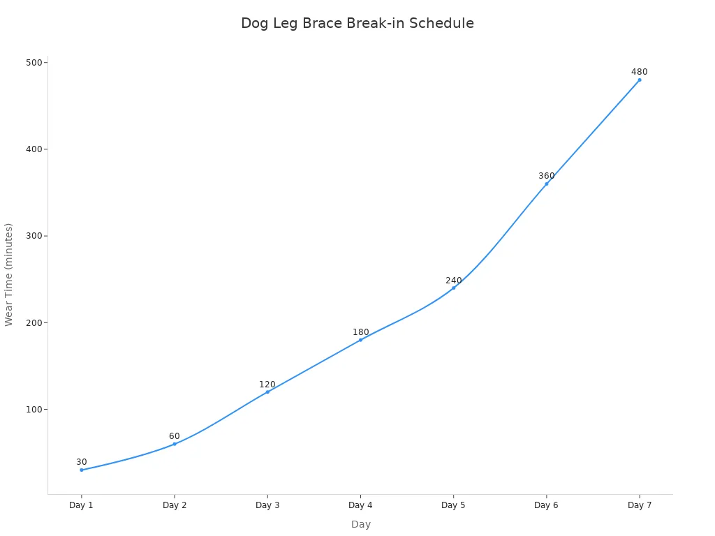 Line chart showing recommended daily increase in dog leg brace wear time over seven days