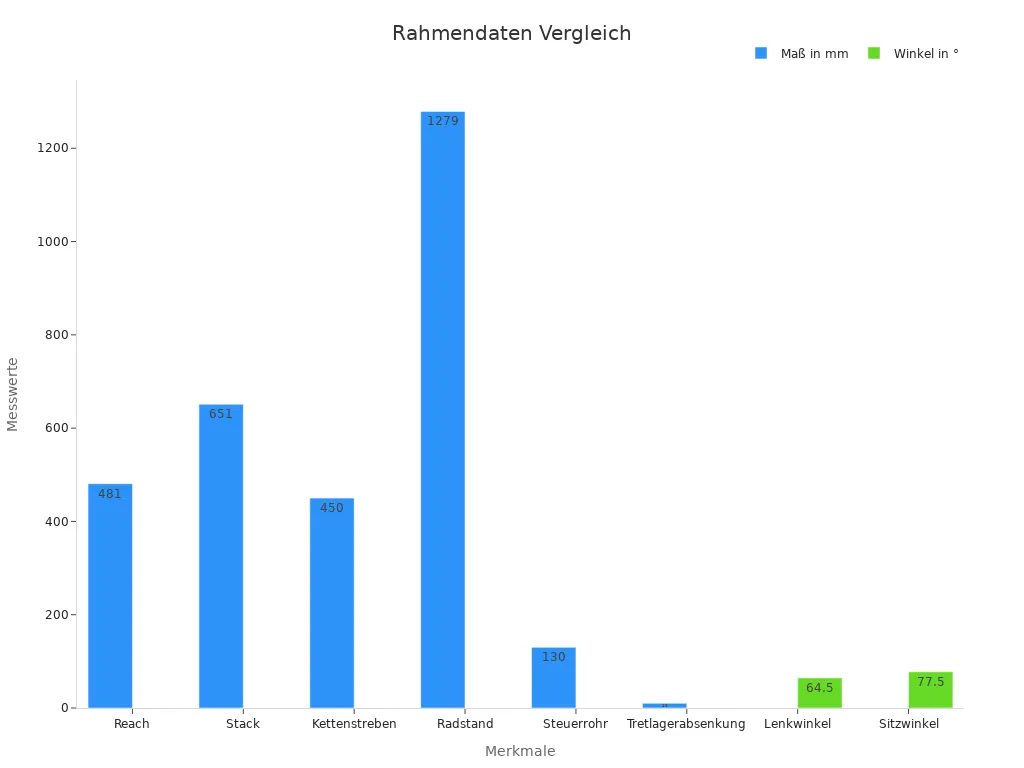 Balkendiagramm der Rahmendaten in mm und Grad